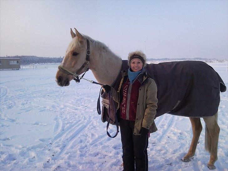 Anden særlig race pegasus billede 19