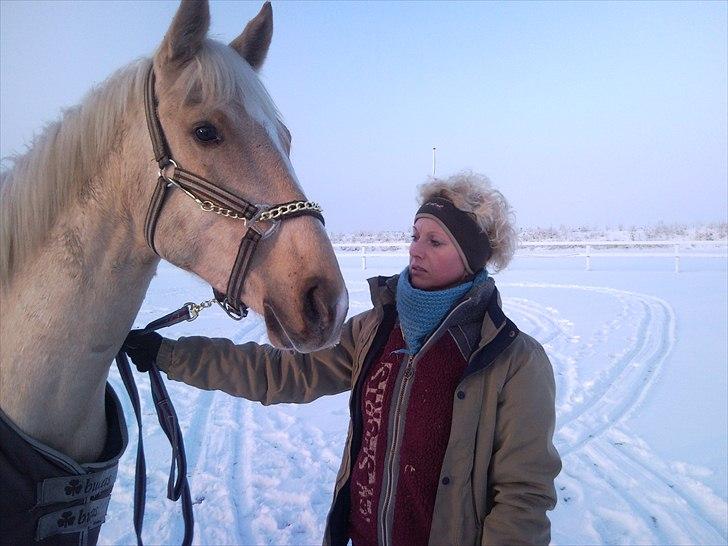 Anden særlig race pegasus billede 3