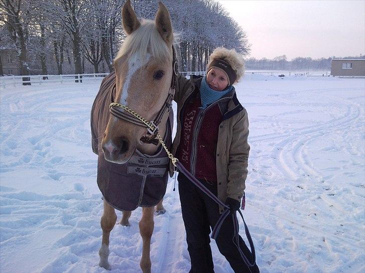 Anden særlig race pegasus billede 4