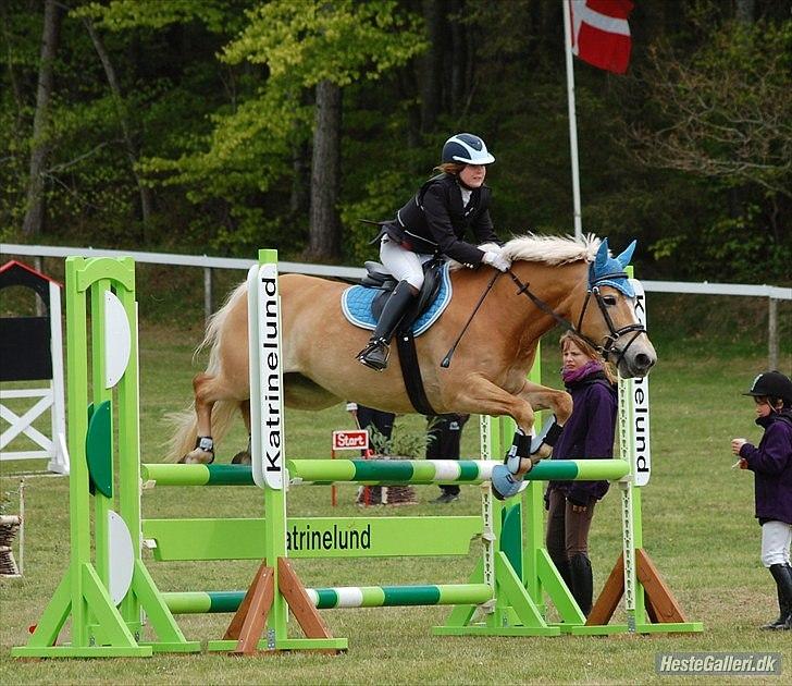 Haflinger Cirkeline<3 Solgt ): billede 15