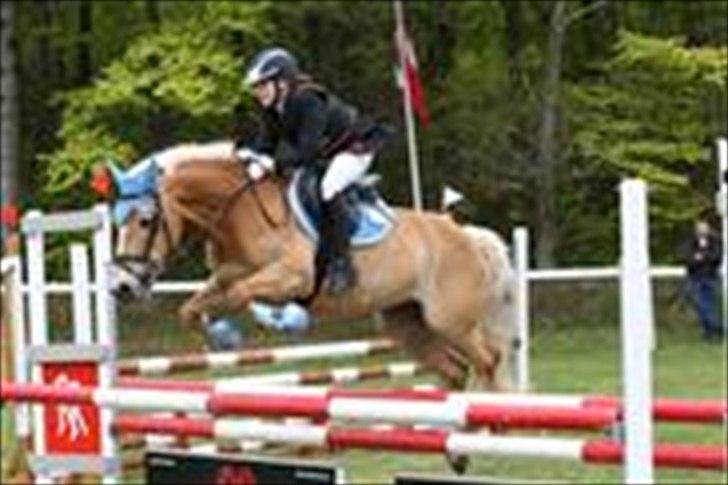 Haflinger Cirkeline<3 Solgt ): billede 17