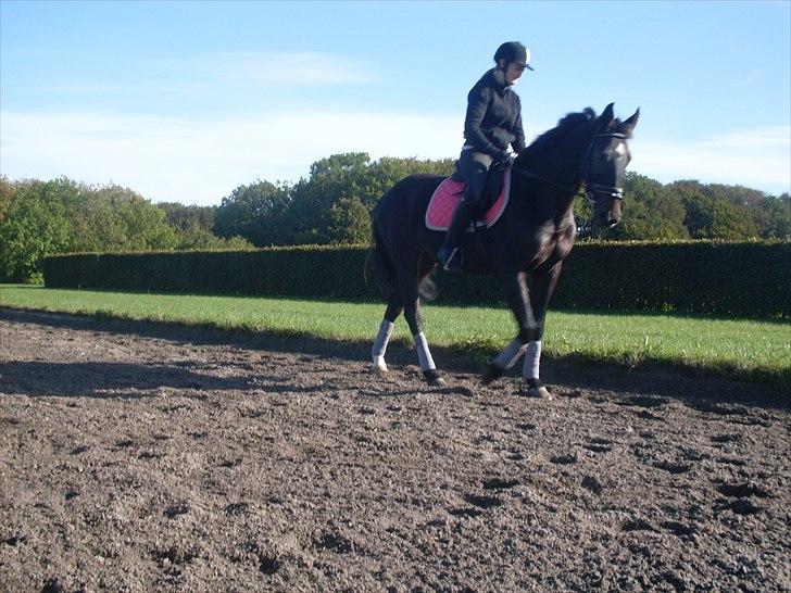 Anden særlig race Just Me billede 12