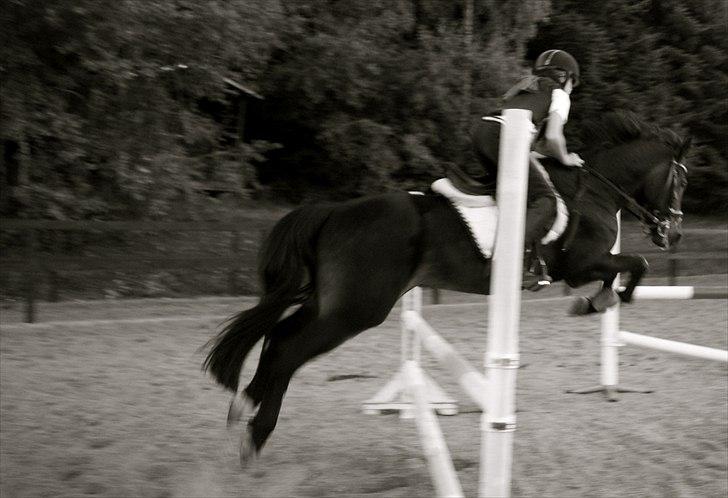 Anden særlig race Mystery Man - Træning :) Sommer 2010 billede 9