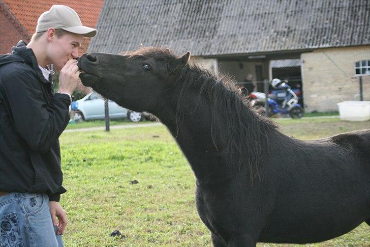 Anden særlig race Malaki SOLGT - "Kys mig daddy" <3 Sommer 2010 billede 9