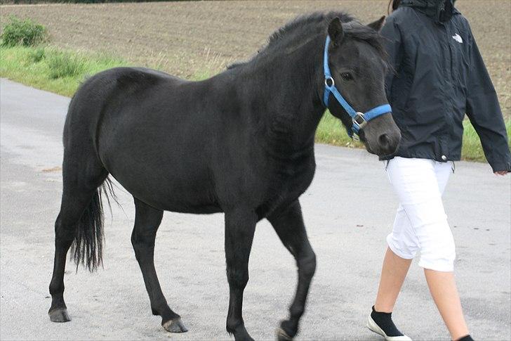 Anden særlig race Malaki SOLGT - You are my darling baby. :) Sommer 2010 billede 10