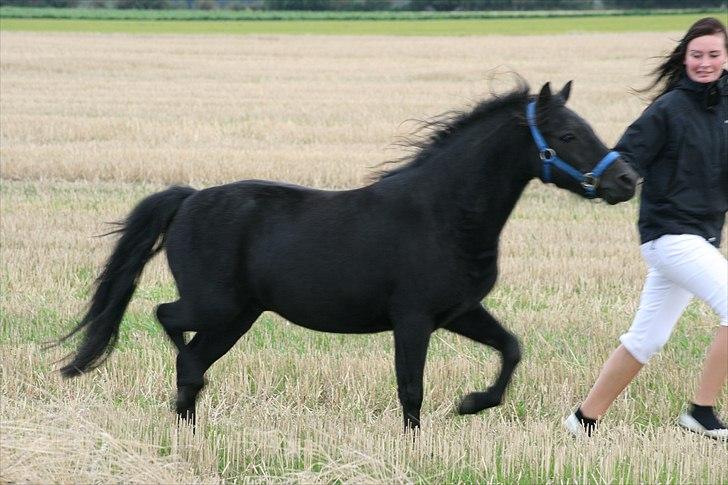 Anden særlig race Malaki SOLGT - Run Forrest, ruuuuun. :) <3 Sommer 2010 billede 11