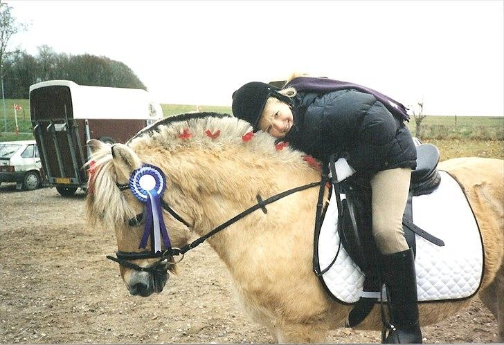Fjordhest BINE R.I.P. - 10. Et af mine yndlings billeder af Bine fra vores julestævne for mange år siden - desværre scannet ind på pc´en.. billede 10