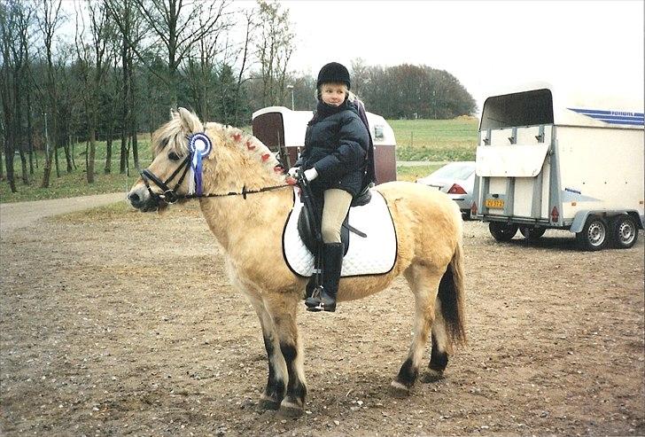 Fjordhest BINE R.I.P. - 11. Elskede Bine fra julestævnet i MORK for mange år siden :) billede 11