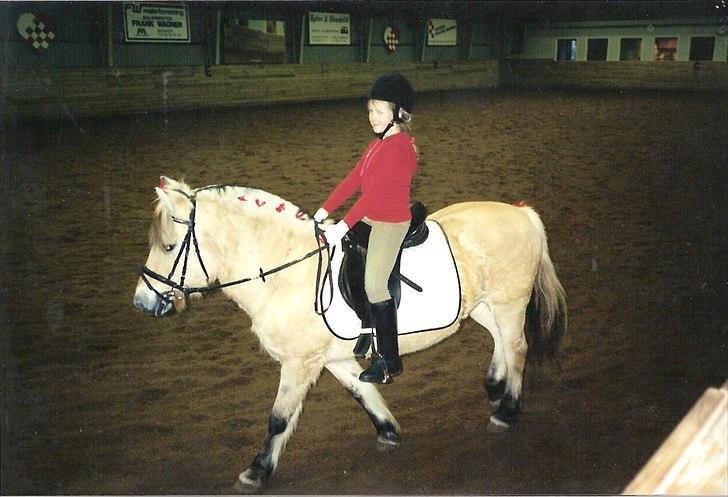 Fjordhest BINE R.I.P. - 13. Bine og jeg til julestævne i MORK i 2002 billede 13