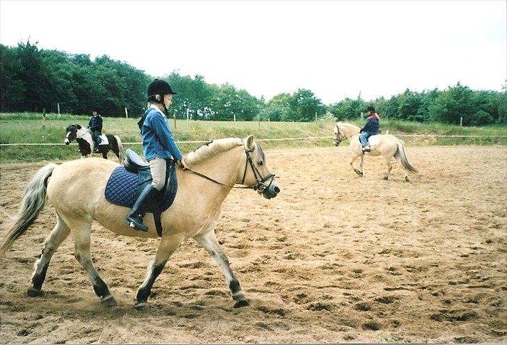 Fjordhest BINE R.I.P. - 14. Bine og jeg til vores første stævne i MORK maj 2002 billede 14