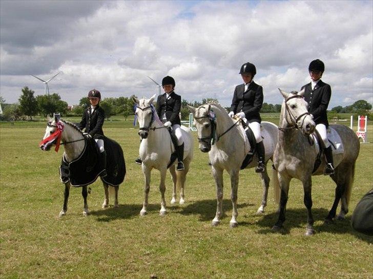 Connemara Skolekrogens Stasia *B PONY!* - Tjørnhøj Mølle cup
LA2 67%
Sølvvinder billede 6