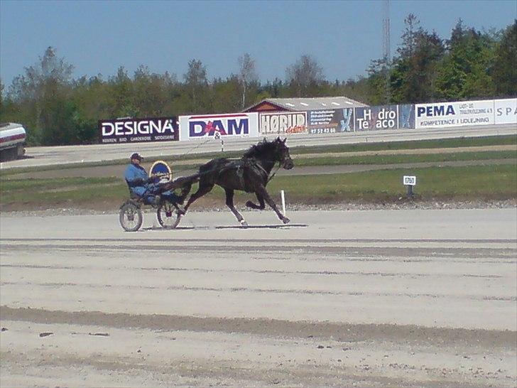 Traver Oventus  (solgt) billede 17