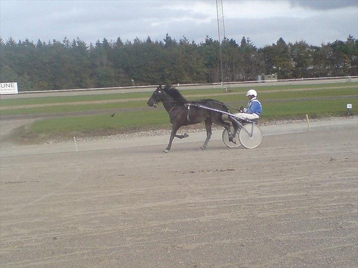 Traver Oventus  (solgt) billede 20