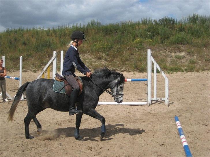 Welsh Pony (sec B) Korreborgs Vivaldi/ solgt - Tilridning ved Stald Kyø. Emma og Vivaldi billede 14