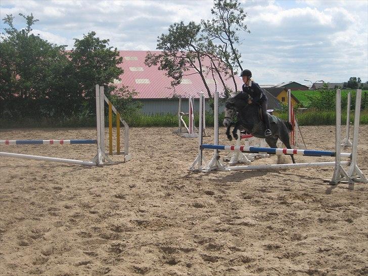 Welsh Pony (sec B) Korreborgs Vivaldi/ solgt - Tilridning ved Stald Kyø. Emma og Vivaldi billede 15