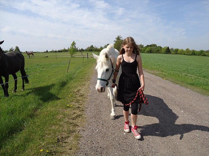 Anden særlig race  Højvangs Marabou <3  - På gåtur med Mulle xD billede 6