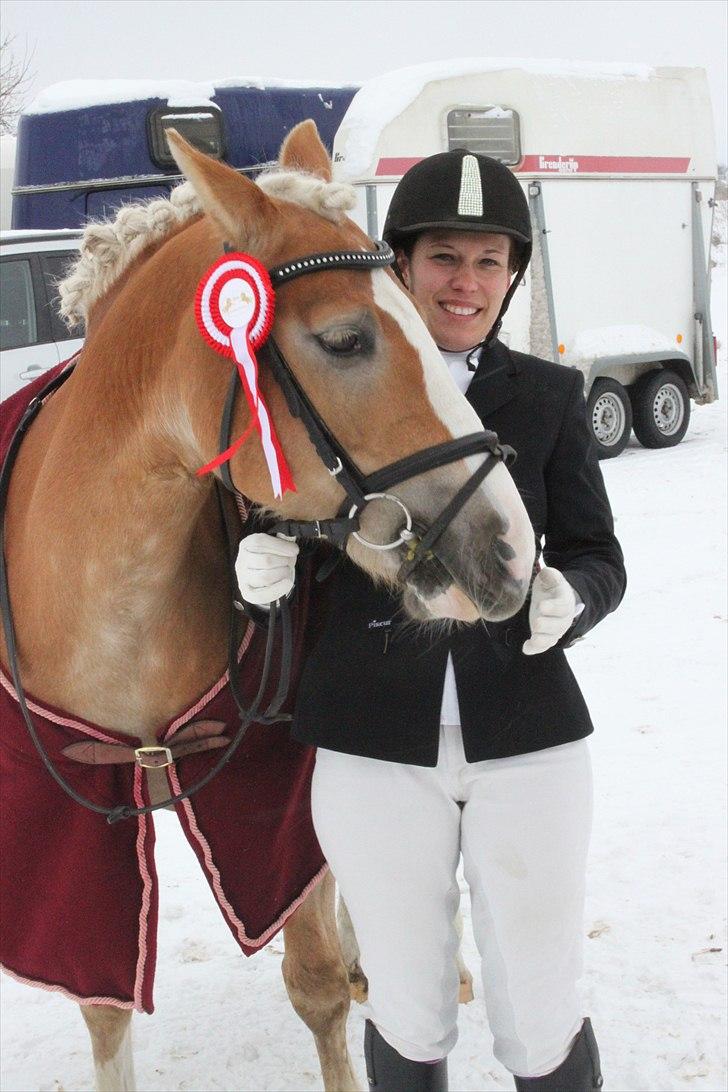 Anden særlig race Amanda solgt - dressurstævne den 5-12-2010 billede 1