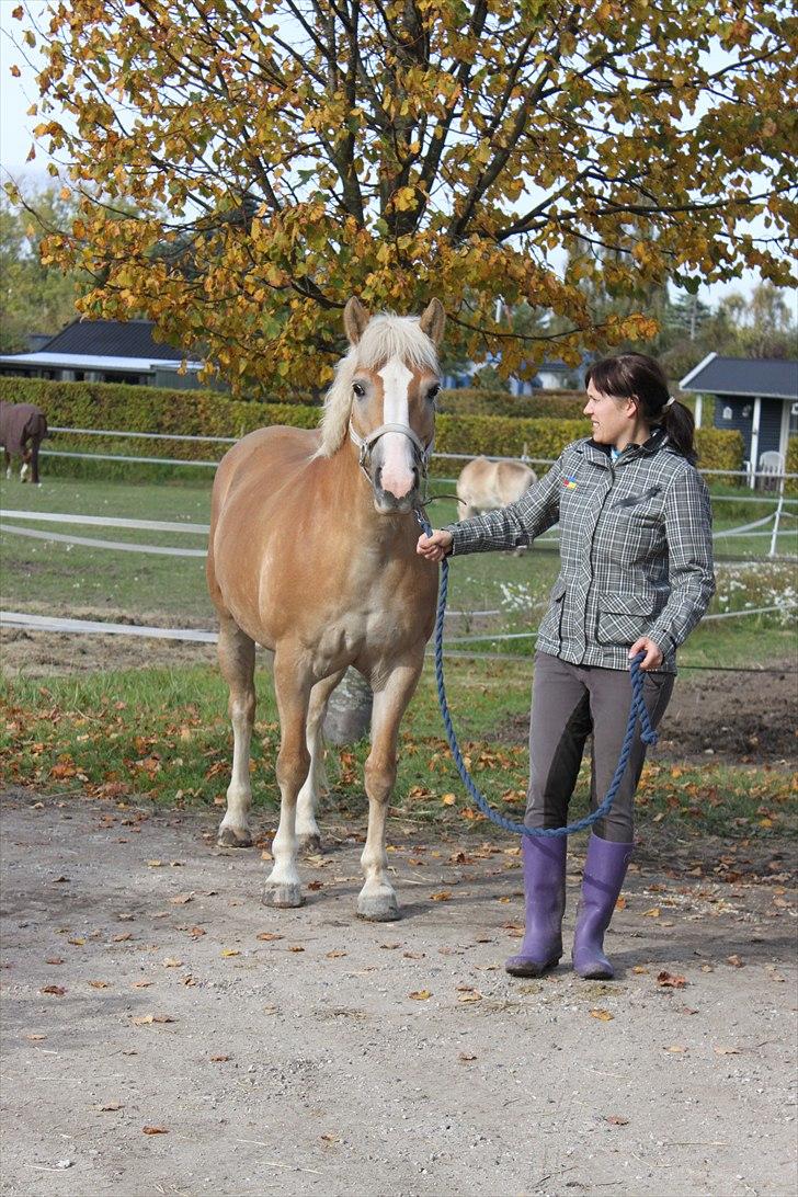 Anden særlig race Amanda solgt - på vej ind:) billede 5