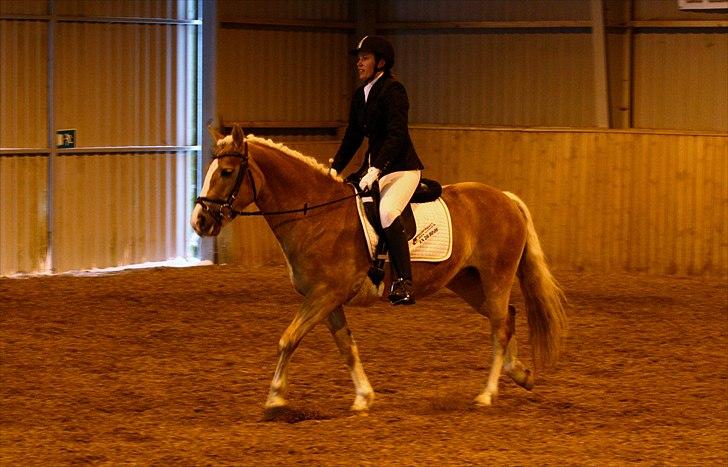 Anden særlig race Amanda solgt billede 12