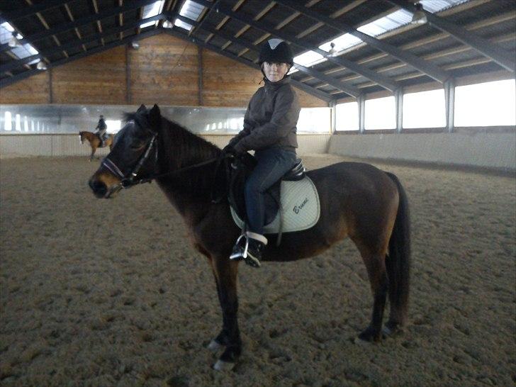 Anden særlig race Brune  [Savnet :'* ] - 11# billede 11