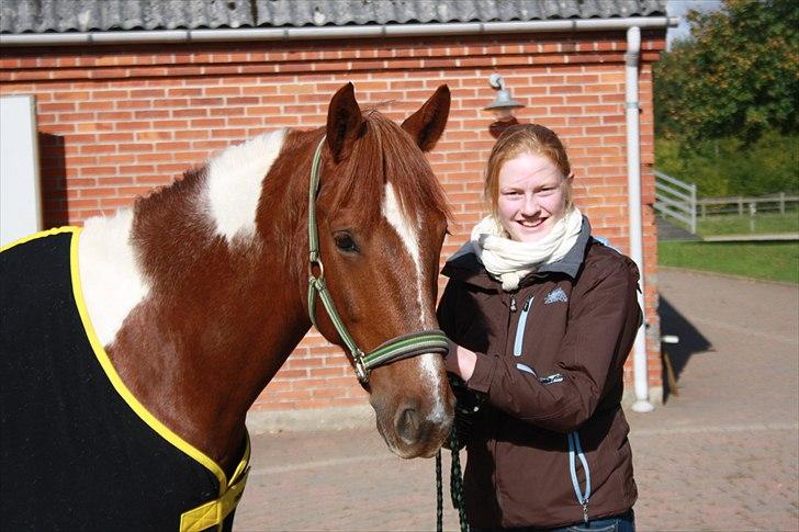 Anden særlig race Jazzo A-pony - Du er elsket meget højt Jazzo! <3 Dette billede er fra lige da jeg vidste han var miiin   billede 14