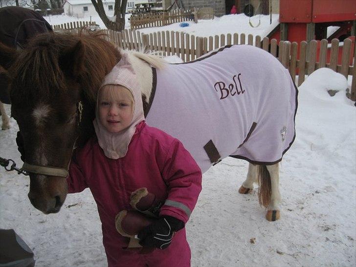 Anden særlig race Bell  (Solgt) - Stine og Bell i sneen sammen med Julie og Orlanda billede 1