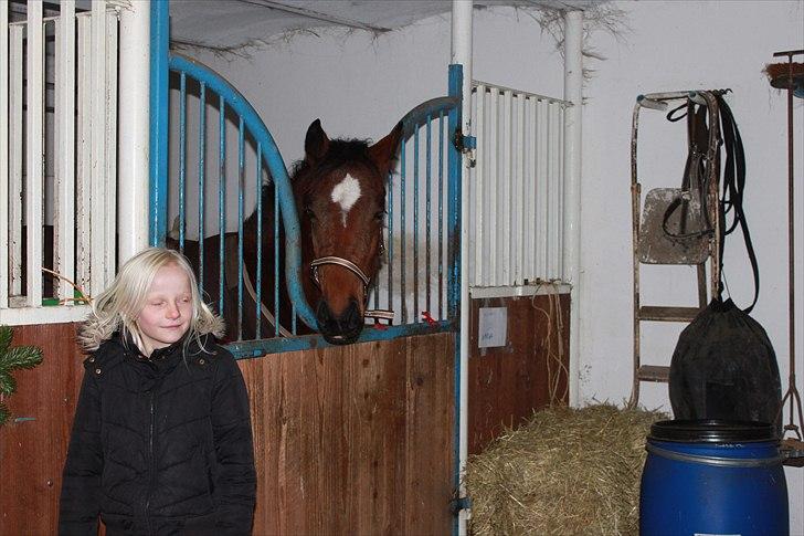 Anden særlig race La Bella billede 19