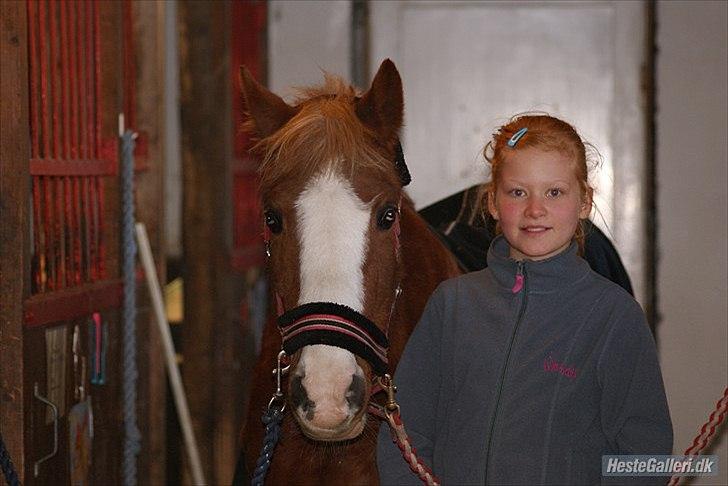 Anden særlig race |Pippi*Aflivet*| - smukke dig<3elesker DIQQ<33|foto:Sara A| billede 16