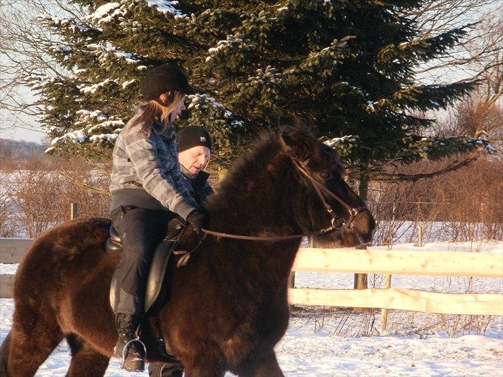Islænder Djásni frá Fagranesi  - Bjarke undervigsing billede 7