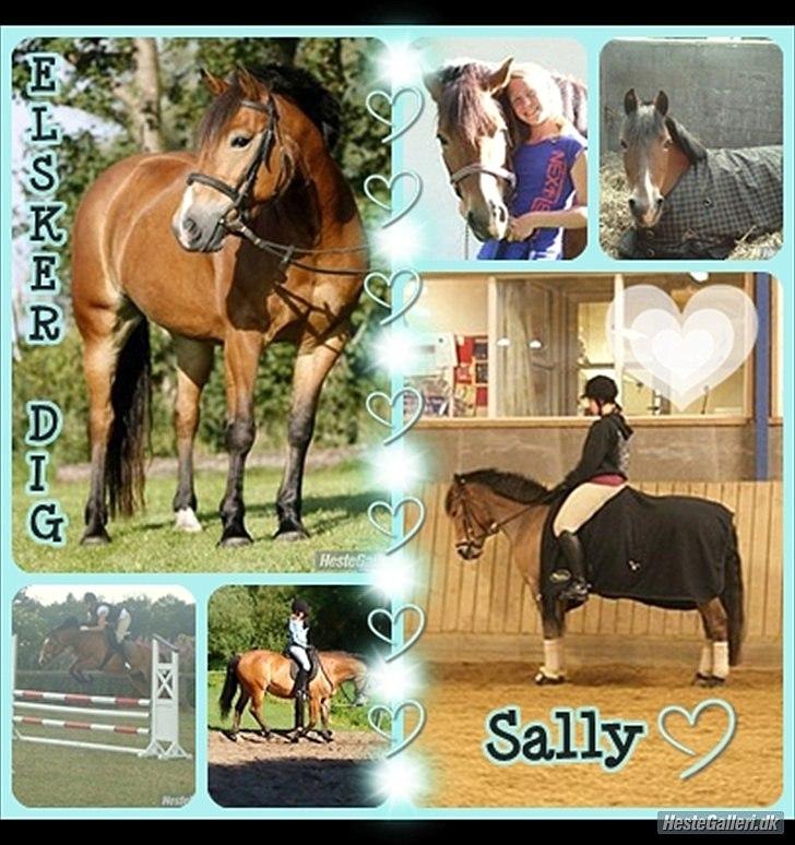 Anden særlig race Sally {Tidligere hest} - dette flotte billede er lavet af louise fra klassen over mig :) TAK TIL DIG!! billede 17