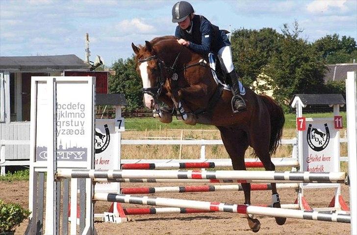 DSP Kløverlunds C.C - Han gik mega godt, elsker dig pony. Boller. LB. 2010. (Virkelig Mester fotograf: Kathrine Bruun).  billede 13