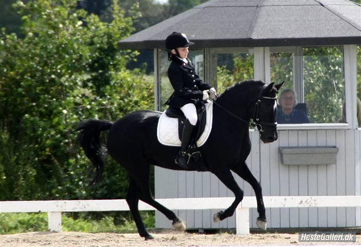 Anden særlig race Magic Manipu <3 - DM 2009 Sølv kat. 3
 billede 6