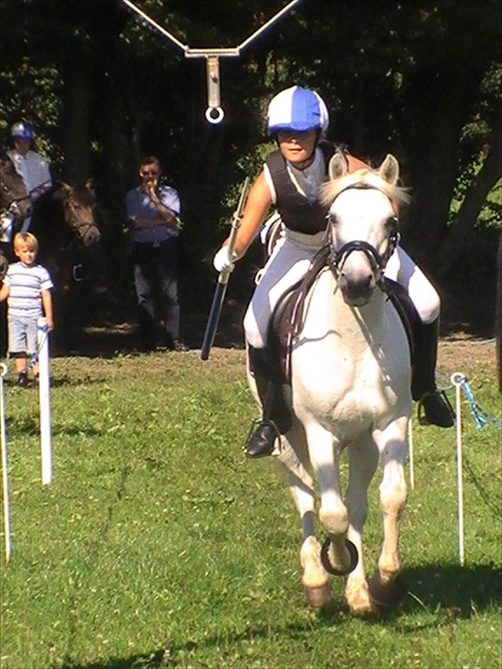 Connemara Nørlunds Trinity - Til ringridning i Barsmark <3 billede 3