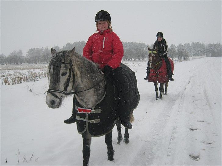 Anden særlig race Bella **SOLGT** - NYT!!!!!!!!!! billede 18