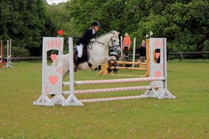 Connemara Nørlunds Trinity - SRÅ stævne d.15.5.11 ;D LD billede 5