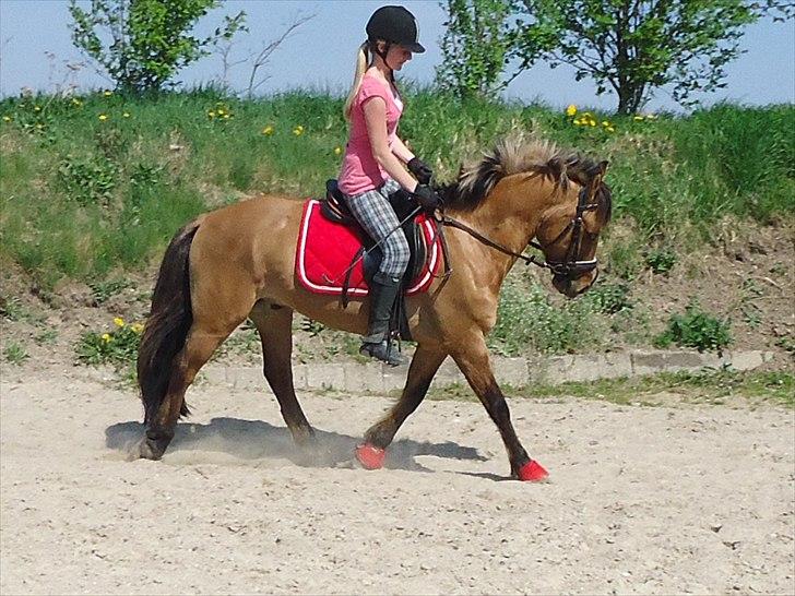 Anden særlig race Cheik Sherry <33 ;* - Smuksaken og jeg i dressur d 25 april 2011 <3 dygtig pony ;* billede 16