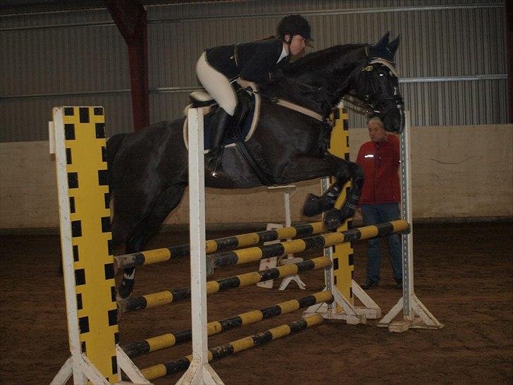 Selle Francais Katangas De Breve * Den bedste af alle, min drøm - Stævne d. 20 november 2010 100cm billede 13