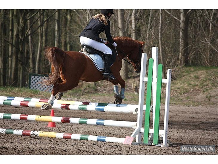 {{currentPhoto.altText}} billede {{currentPhoto.number}}