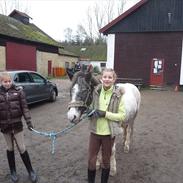 Anden særlig race SERGANT PEPPER!