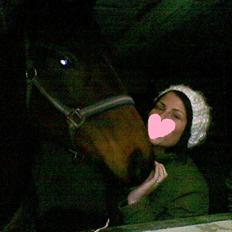 Fuldblod (XX) ZadEyz/Kashmir