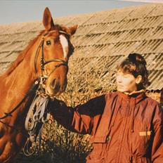Dansk Varmblod skovvejens Isabella R.I.P