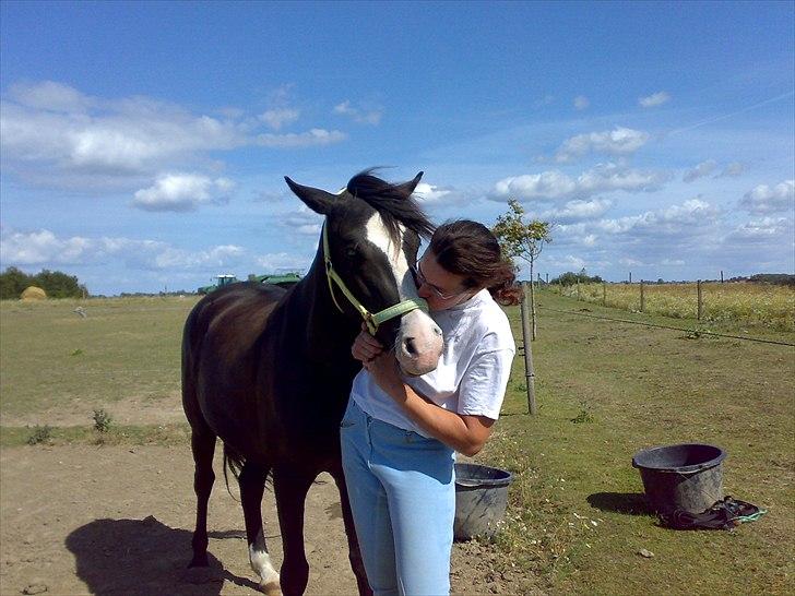 New Forest Roløkke Filur billede 5