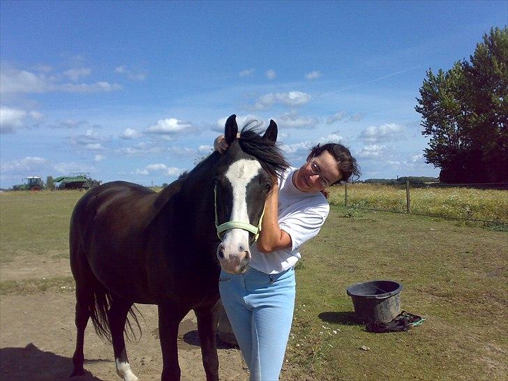 New Forest Roløkke Filur billede 6