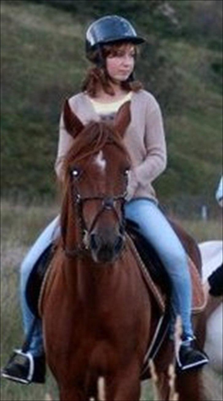 Anden særlig race Kiara billede 20