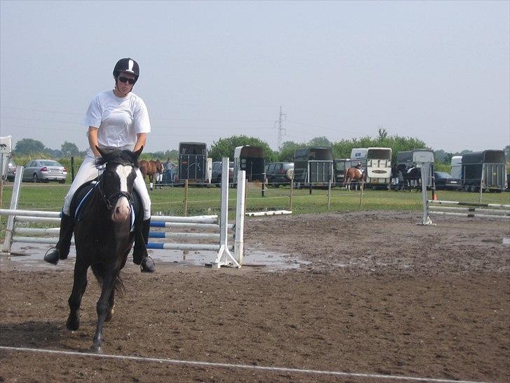 New Forest Roløkke Filur - Til stævne med den langbenede mor i Guldborgsund rideklub.. billede 15