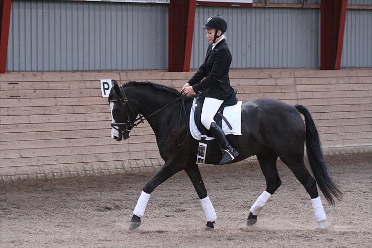 New Forest Roløkke Filur - Louise og Filur.. billede 16