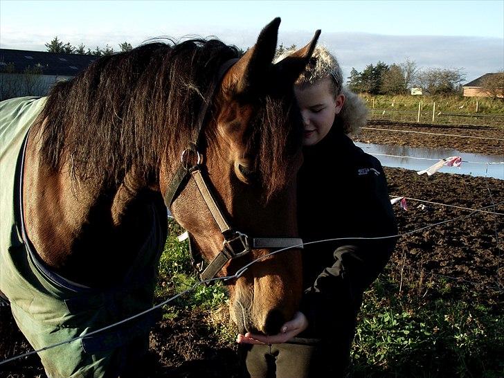 Anden særlig race Laura (red i sommers) - Thilde og Laura på folden billede 10