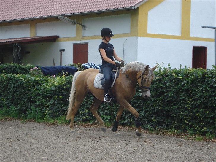 DSP Elvira Wales billede 19