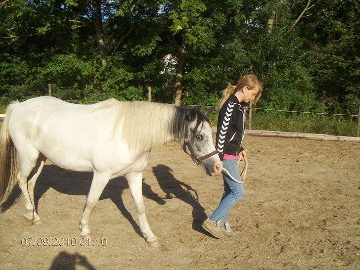Anden særlig race White Smokey Cowboy - Min dejlige hest :D billede 15