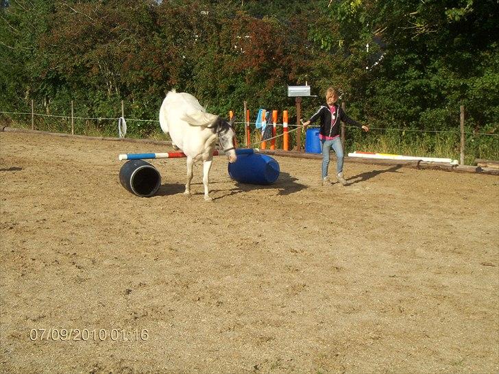 Anden særlig race White Smokey Cowboy - spring :D  billede 17